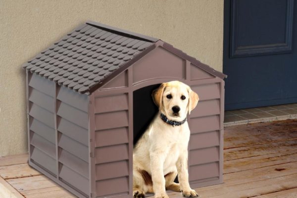 Trova la cuccia per cani che fa per te: cucce da esterno e impermeabilizzate, nelle quali il tuo cane starà caldo e riparato